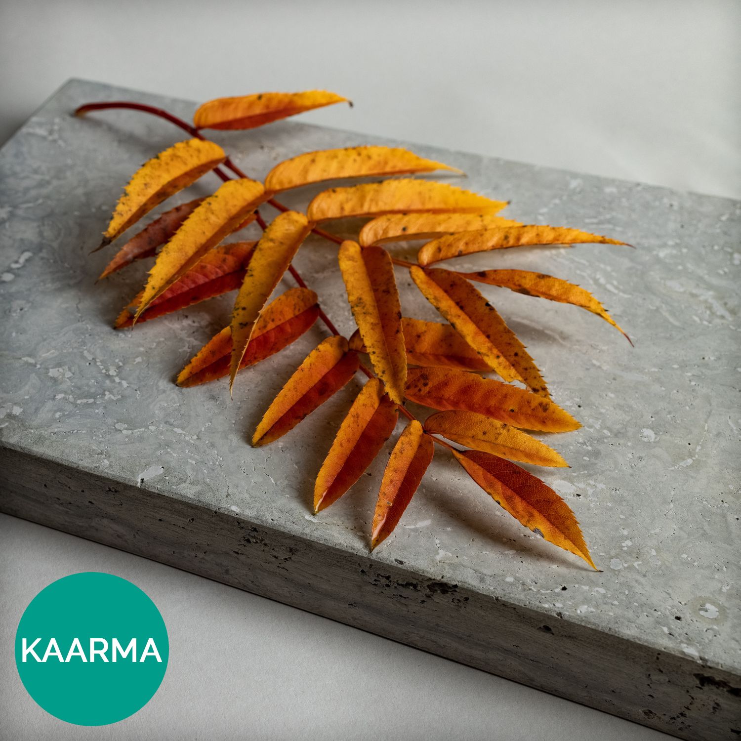 Kaarma dolomiidist aknalaud
